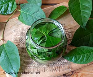 日本虎杖提取物可降低加工肉类的癌症风险：研究